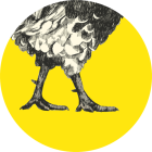 CocoricoopHamois_cocoricoop.png