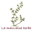LaMauvaiseHerbe_logo-nom.jpg