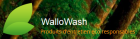 WallowasH_wallowash_logo.png